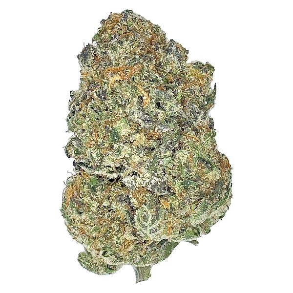 Partake - Orange Squeeze