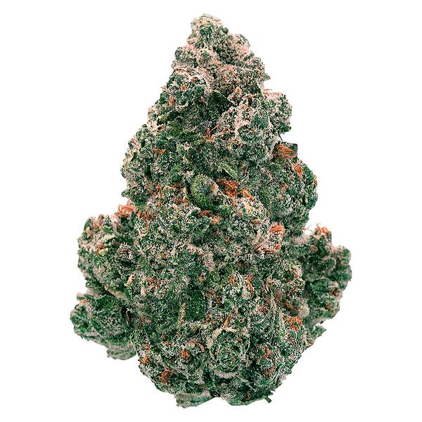 Back Forty - Liquid Imagination