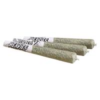 SHRED X - Rainbow Heavies Diamond & Disty Infused Pre-Roll
