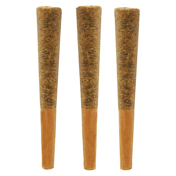 Noodz - Jungle Fire Pre-Roll