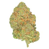 San Rafael '71 - Black Jelly