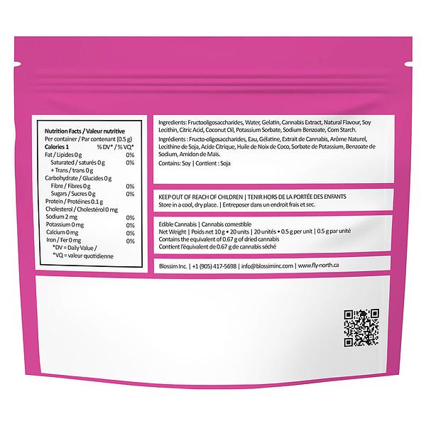 Fly North - Space Pebbles Multi Pack