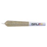 1Spliff Infused - Tiger's Blood Infused Pre-Roll