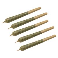 Clem & Co. - Mango Fuel Pre-Rolls