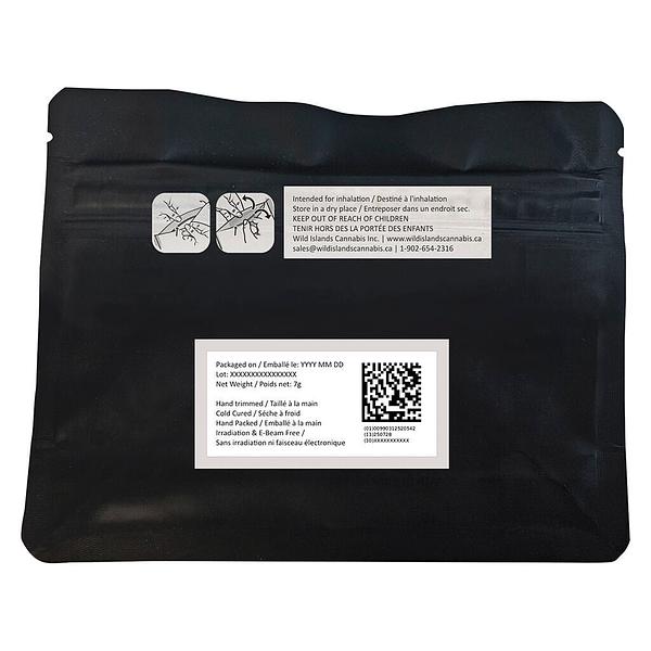 Space Bros - 6ix Pink