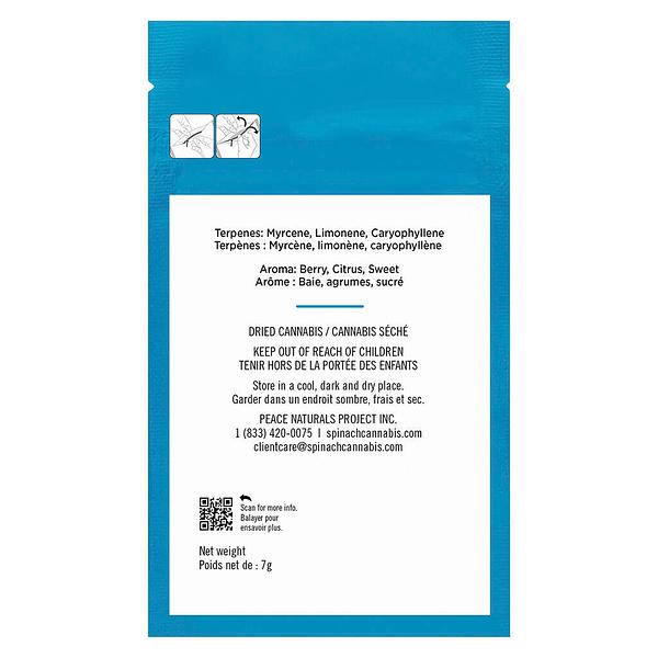 Spinach Grindz - Blue Razz