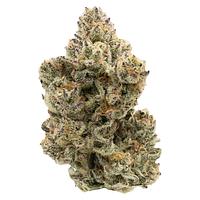 Northern Canna - Pineapple Bang