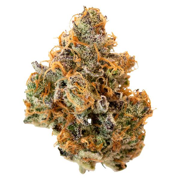 Pineapple Buds - Hawaiian Pineapple