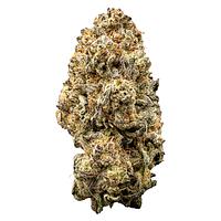 WAZA - Orange Slushie