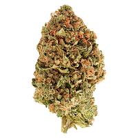 Simply Bare - BC Organic Tea Time #7