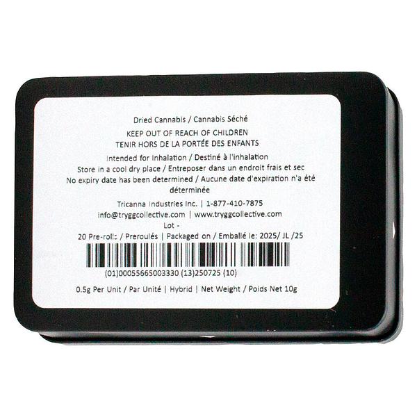 TRYGG - Block Party Pre Roll