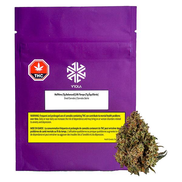 Viola - Halftime (Balanced)