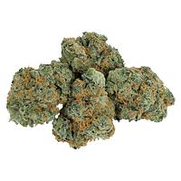 Little Leaf - Stratford's Craft Flower Experience