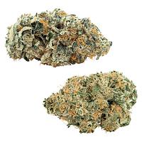 Big Bag O' Buds - Comboz: Pink Kush Mints + Purple Cherry Punch